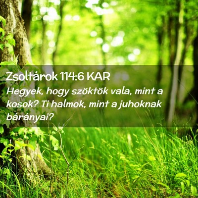 Picture 02 - Zsoltárok 114:6 KAR - Hegyek, hogy szöktök vala, mint a kosok? Ti - Bible Verse Picture