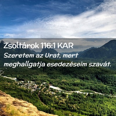 Picture 02 - Zsoltárok 116:1 KAR - Szeretem az Urat, mert meghallgatja esedezéseim - Bible Verse Picture