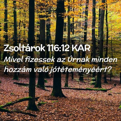 Picture 02 - Zsoltárok 116:12 KAR - Mivel fizessek az Úrnak minden hozzám való - Bible Verse Picture