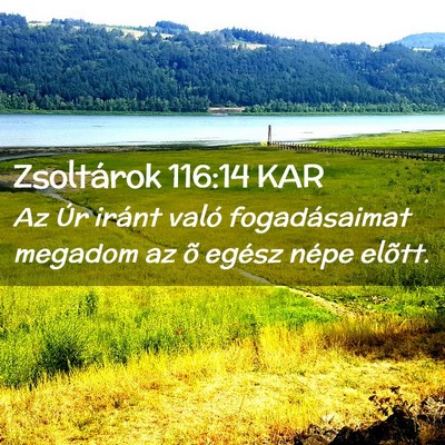 Picture 02 - Zsoltárok 116:14 KAR - Az Úr iránt való fogadásaimat megadom az õ - Bible Verse Picture