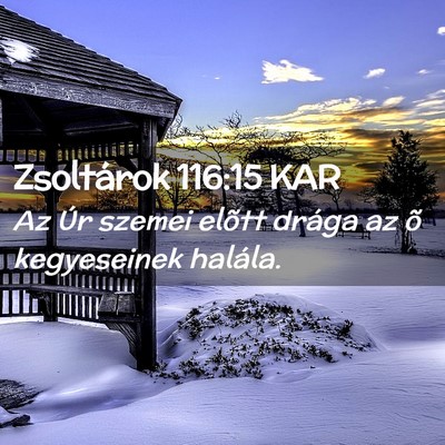 Picture 02 - Zsoltárok 116:15 KAR - Az Úr szemei elõtt drága az õ kegyeseinek - Bible Verse Picture