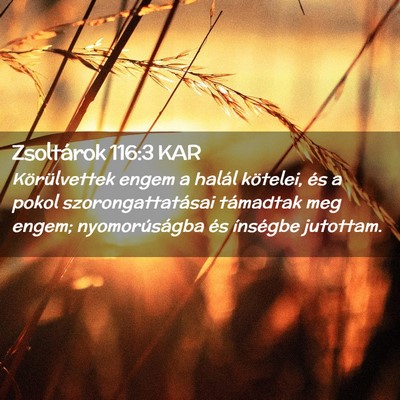 Picture 02 - Zsoltárok 116:3 KAR - Körülvettek engem a halál kötelei, és a - Bible Verse Picture