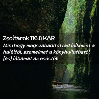 Picture 02 - Zsoltárok 116:8 KAR - Minthogy megszabadítottad lelkemet a haláltól, - Bible Verse Picture