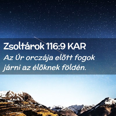 Picture 02 - Zsoltárok 116:9 KAR - Az Úr orczája elõtt fogok járni az élõknek - Bible Verse Picture