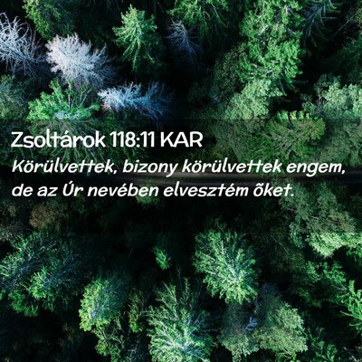 Picture 02 - Zsoltárok 118:11 KAR - Körülvettek, bizony körülvettek engem, de az - Bible Verse Picture