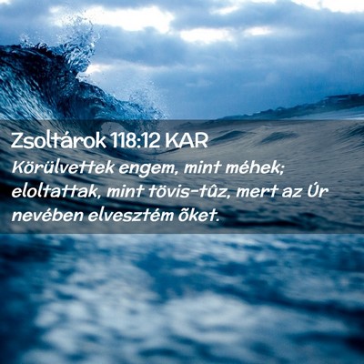 Picture 02 - Zsoltárok 118:12 KAR - Körülvettek engem, mint méhek; eloltattak, - Bible Verse Picture