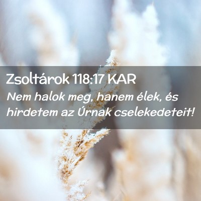 Picture 02 - Zsoltárok 118:17 KAR - Nem halok meg, hanem élek, és hirdetem az - Bible Verse Picture