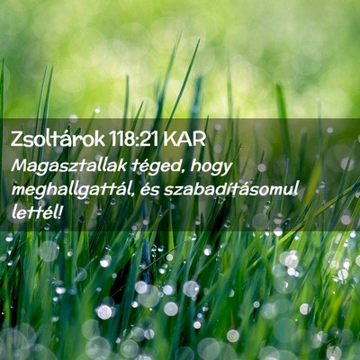 Picture 02 - Zsoltárok 118:21 KAR - Magasztallak téged, hogy meghallgattál, és - Bible Verse Picture