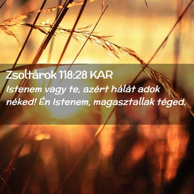 Picture 02 - Zsoltárok 118:28 KAR - Istenem vagy te, azért hálát adok néked! Én - Bible Verse Picture