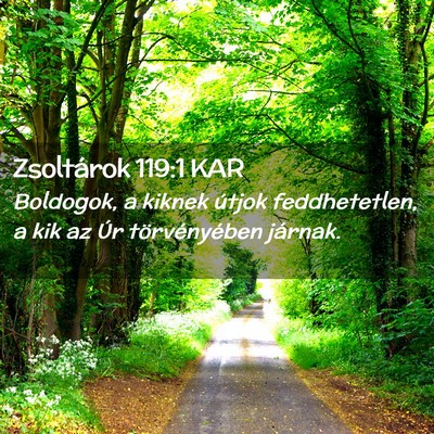 Picture 02 - Zsoltárok 119:1 KAR - Boldogok, a kiknek útjok feddhetetlen, a kik az - Bible Verse Picture