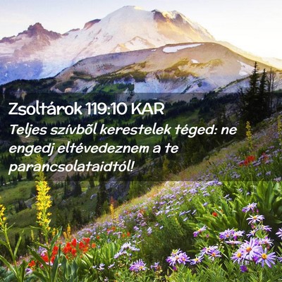 Picture 02 - Zsoltárok 119:10 KAR - Teljes szívbõl kerestelek téged: ne engedj - Bible Verse Picture