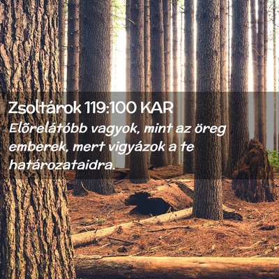 Picture 02 - Zsoltárok 119:100 KAR - Elõrelátóbb vagyok, mint az öreg emberek, - Bible Verse Picture