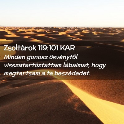 Picture 02 - Zsoltárok 119:101 KAR - Minden gonosz ösvénytõl visszatartóztattam - Bible Verse Picture