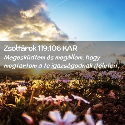 Picture 02 - Zsoltárok 119:106 KAR - Megesküdtem és megállom, hogy megtartom a te - Bible Verse Picture