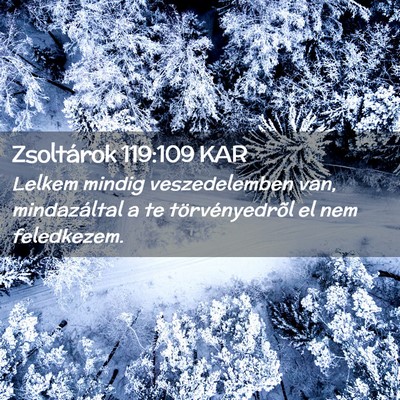 Picture 02 - Zsoltárok 119:109 KAR - Lelkem mindig veszedelemben van, mindazáltal a - Bible Verse Picture