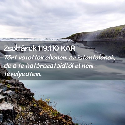 Picture 02 - Zsoltárok 119:110 KAR - Tõrt vetettek ellenem az istentelenek, de a te - Bible Verse Picture