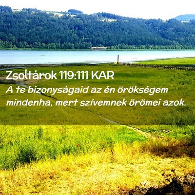 Picture 02 - Zsoltárok 119:111 KAR - A te bizonyságaid az én örökségem mindenha, - Bible Verse Picture