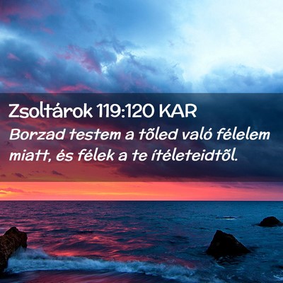 Picture 02 - Zsoltárok 119:120 KAR - Borzad testem a tõled való félelem miatt, és - Bible Verse Picture