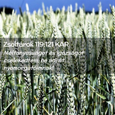 Picture 02 - Zsoltárok 119:121 KAR - Méltányosságot és igazságot cselekedtem; ne - Bible Verse Picture