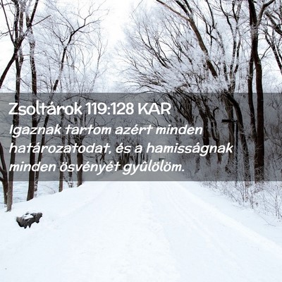 Picture 02 - Zsoltárok 119:128 KAR - Igaznak tartom azért minden határozatodat, és - Bible Verse Picture