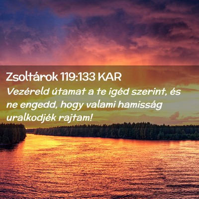 Picture 02 - Zsoltárok 119:133 KAR - Vezéreld útamat a te igéd szerint, és ne - Bible Verse Picture