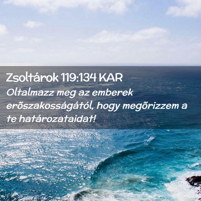 Picture 02 - Zsoltárok 119:134 KAR - Oltalmazz meg az emberek erõszakosságától, - Bible Verse Picture