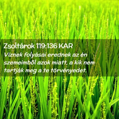 Picture 02 - Zsoltárok 119:136 KAR - Víznek folyásai erednek az én szemeimbõl azok - Bible Verse Picture