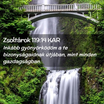 Picture 02 - Zsoltárok 119:14 KAR - Inkább gyönyörködöm a te bizonyságaidnak - Bible Verse Picture