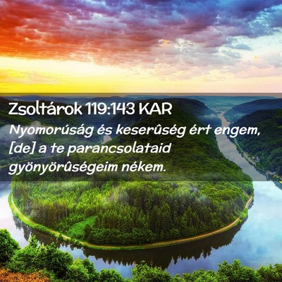 Picture 02 - Zsoltárok 119:143 KAR - Nyomorúság és keserûség ért engem, [de] a - Bible Verse Picture