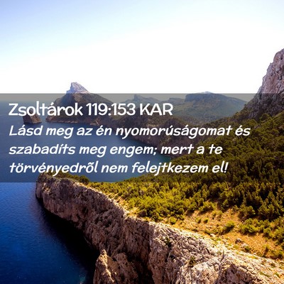Picture 02 - Zsoltárok 119:153 KAR - Lásd meg az én nyomorúságomat és szabadíts - Bible Verse Picture