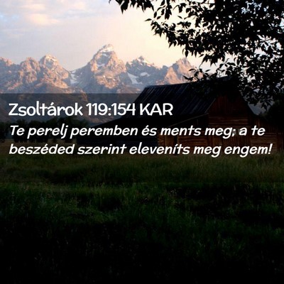 Picture 02 - Zsoltárok 119:154 KAR - Te perelj peremben és ments meg; a te beszéded - Bible Verse Picture