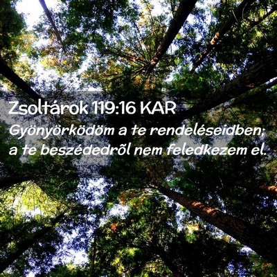 Picture 02 - Zsoltárok 119:16 KAR - Gyönyörködöm a te rendeléseidben; a te - Bible Verse Picture