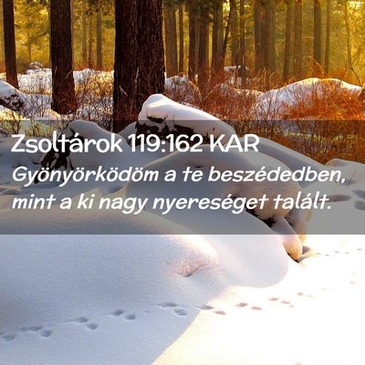 Picture 02 - Zsoltárok 119:162 KAR - Gyönyörködöm a te beszédedben, mint a ki - Bible Verse Picture