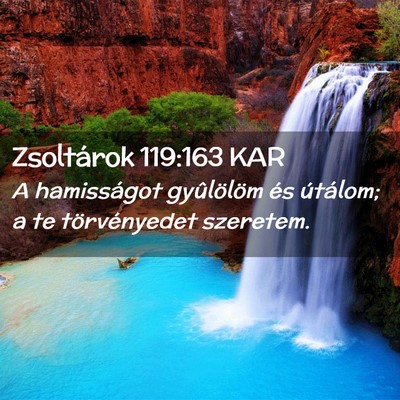 Picture 02 - Zsoltárok 119:163 KAR - A hamisságot gyûlölöm és útálom; a te - Bible Verse Picture