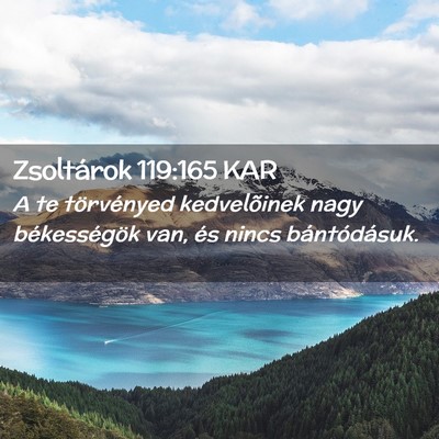 Picture 02 - Zsoltárok 119:165 KAR - A te törvényed kedvelõinek nagy békességök - Bible Verse Picture
