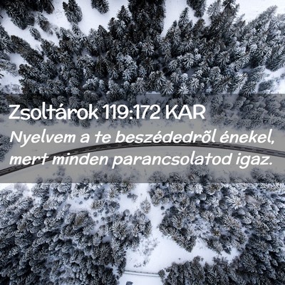 Picture 02 - Zsoltárok 119:172 KAR - Nyelvem a te beszédedrõl énekel, mert minden - Bible Verse Picture