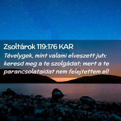 Picture 02 - Zsoltárok 119:176 KAR - Tévelygek, mint valami elveszett juh: keresd meg - Bible Verse Picture
