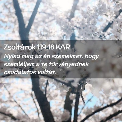 Picture 02 - Zsoltárok 119:18 KAR - Nyisd meg az én szemeimet, hogy szemléljem a te - Bible Verse Picture