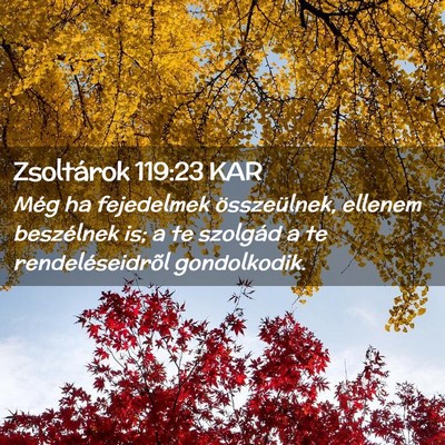 Picture 02 - Zsoltárok 119:23 KAR - Még ha fejedelmek összeülnek, ellenem - Bible Verse Picture