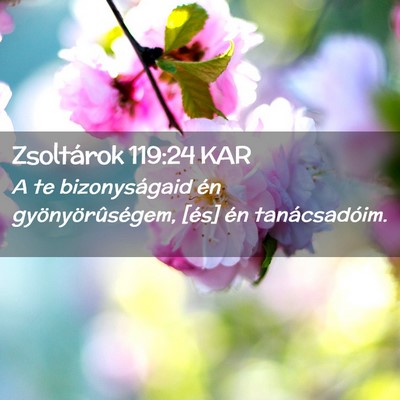 Picture 02 - Zsoltárok 119:24 KAR - A te bizonyságaid én gyönyörûségem, [és] - Bible Verse Picture