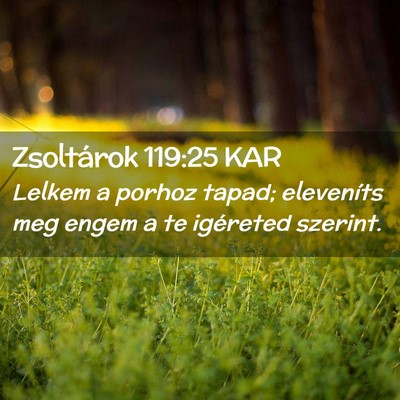 Picture 02 - Zsoltárok 119:25 KAR - Lelkem a porhoz tapad; eleveníts meg engem a te - Bible Verse Picture