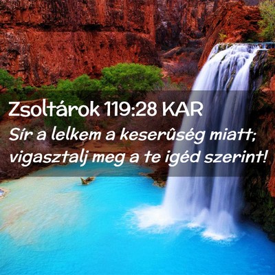 Picture 02 - Zsoltárok 119:28 KAR - Sír a lelkem a keserûség miatt; vigasztalj meg - Bible Verse Picture