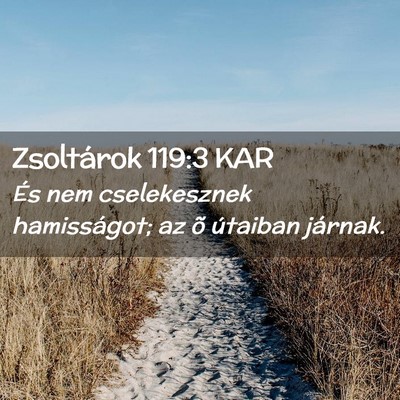 Picture 02 - Zsoltárok 119:3 KAR - És nem cselekesznek hamisságot; az õ útaiban - Bible Verse Picture