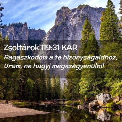 Picture 02 - Zsoltárok 119:31 KAR - Ragaszkodom a te bizonyságaidhoz; Uram, ne hagyj - Bible Verse Picture