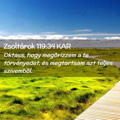 Picture 02 - Zsoltárok 119:34 KAR - Oktass, hogy megõrizzem a te törvényedet, és - Bible Verse Picture