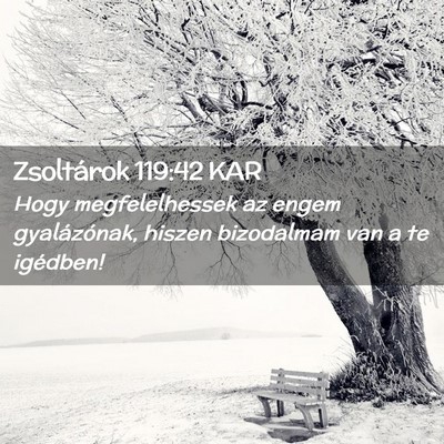 Picture 02 - Zsoltárok 119:42 KAR - Hogy megfelelhessek az engem gyalázónak, hiszen - Bible Verse Picture