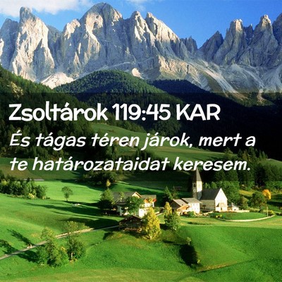 Picture 02 - Zsoltárok 119:45 KAR - És tágas téren járok, mert a te - Bible Verse Picture