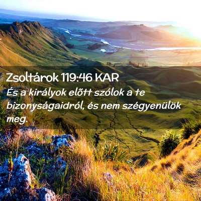 Picture 02 - Zsoltárok 119:46 KAR - És a királyok elõtt szólok a te - Bible Verse Picture