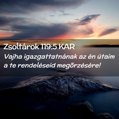 Picture 02 - Zsoltárok 119:5 KAR - Vajha igazgattatnának az én útaim a te - Bible Verse Picture