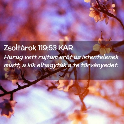 Picture 02 - Zsoltárok 119:53 KAR - Harag vett rajtam erõt az istentelenek miatt, a - Bible Verse Picture